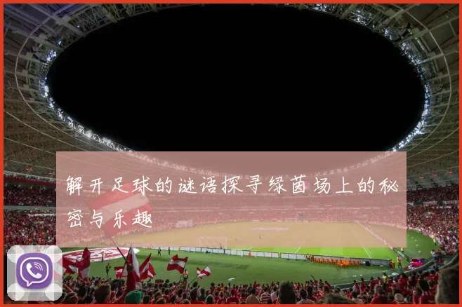 解开足球的谜语探寻绿茵场上的秘密与乐趣