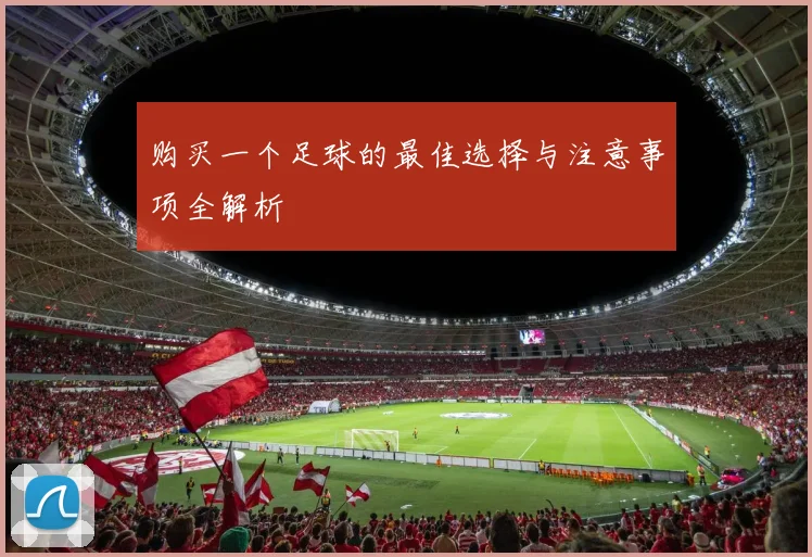 购买一个足球的最佳选择与注意事项全解析