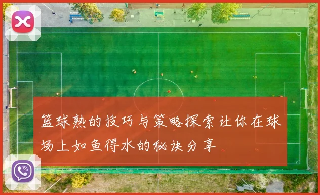 篮球熟的技巧与策略探索让你在球场上如鱼得水的秘诀分享