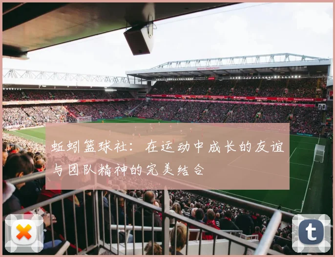 蚯蚓篮球社：在运动中成长的友谊与团队精神的完美结合