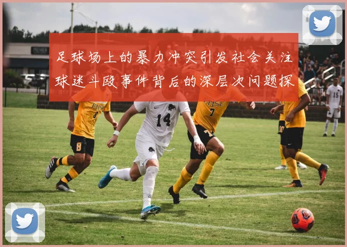 足球场上的暴力冲突引发社会关注球迷斗殴事件背后的深层次问题探讨
